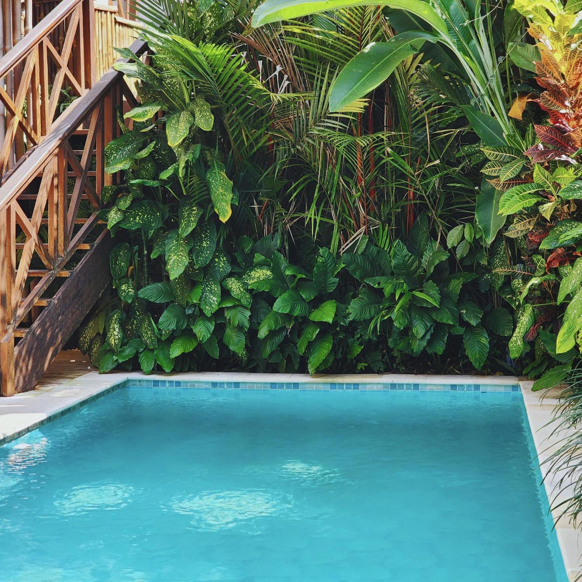 Danaya'S Villa Ubud Zewnętrze zdjęcie